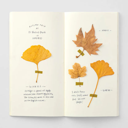 TRAVELER'S Notebook Refill (025) MD Paper Cream Blank