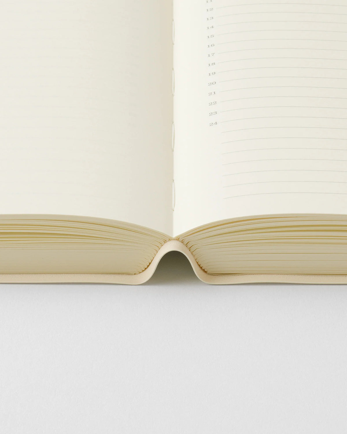 MD Notebook Diary 2027 1 Day 1 Page A5